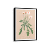 Lily Botanical Modern Wall Art