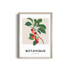 Garden Elegance Botanical Modern Wall Art
