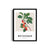 Garden Elegance Botanical Modern Wall Art