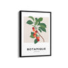 Garden Elegance Botanical Modern Wall Art