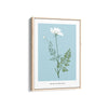 Foliage & Frames, Lily Botanical Modern Wall Art