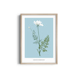 Foliage & Frames, Lily Botanical Modern Wall Art