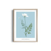 Foliage & Frames, Lily Botanical Modern Wall Art