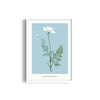 Foliage & Frames, Lily Botanical Modern Wall Art