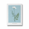 Foliage & Frames, Lily Botanical Modern Wall Art
