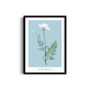 Foliage & Frames, Lily Botanical Modern Wall Art