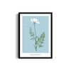 Foliage & Frames, Lily Botanical Modern Wall Art