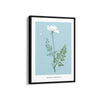 Foliage & Frames, Lily Botanical Modern Wall Art