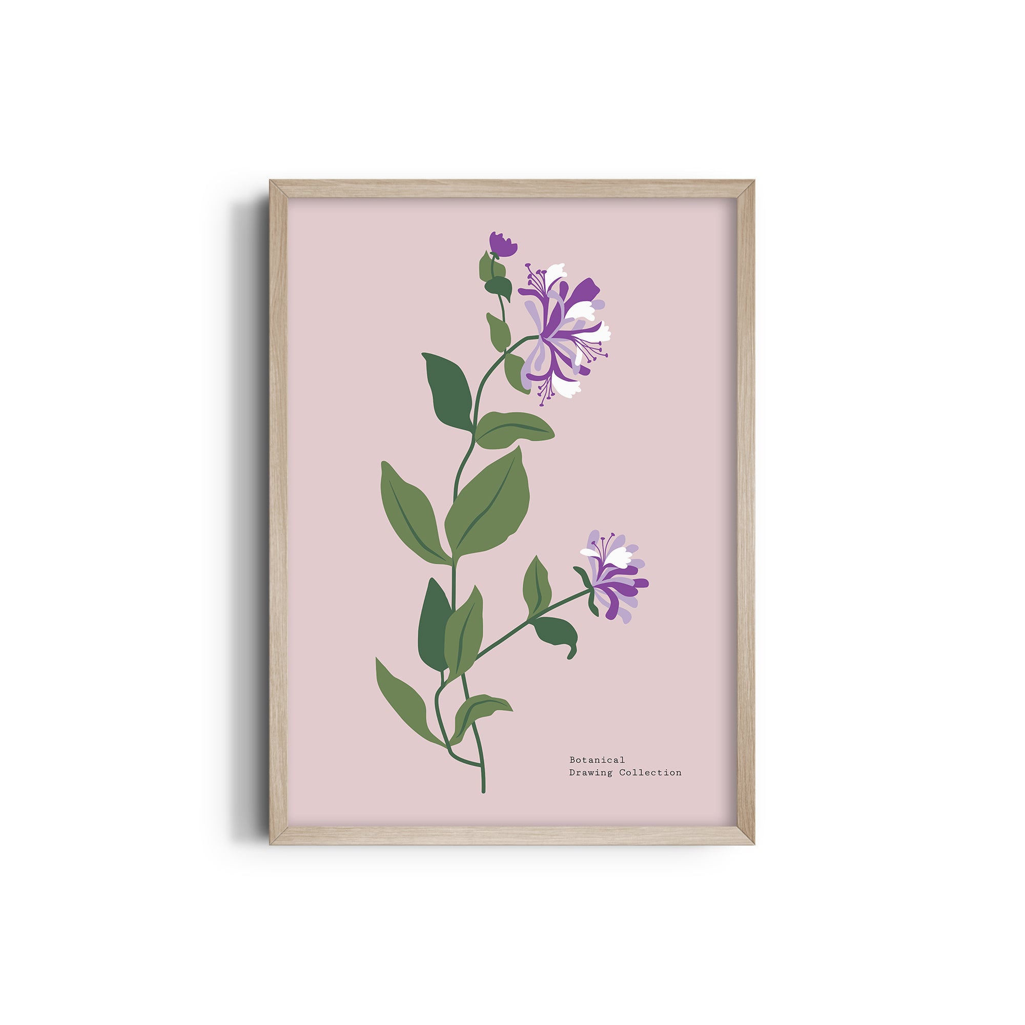 Garden of Colors Botanical Modern Wall Art