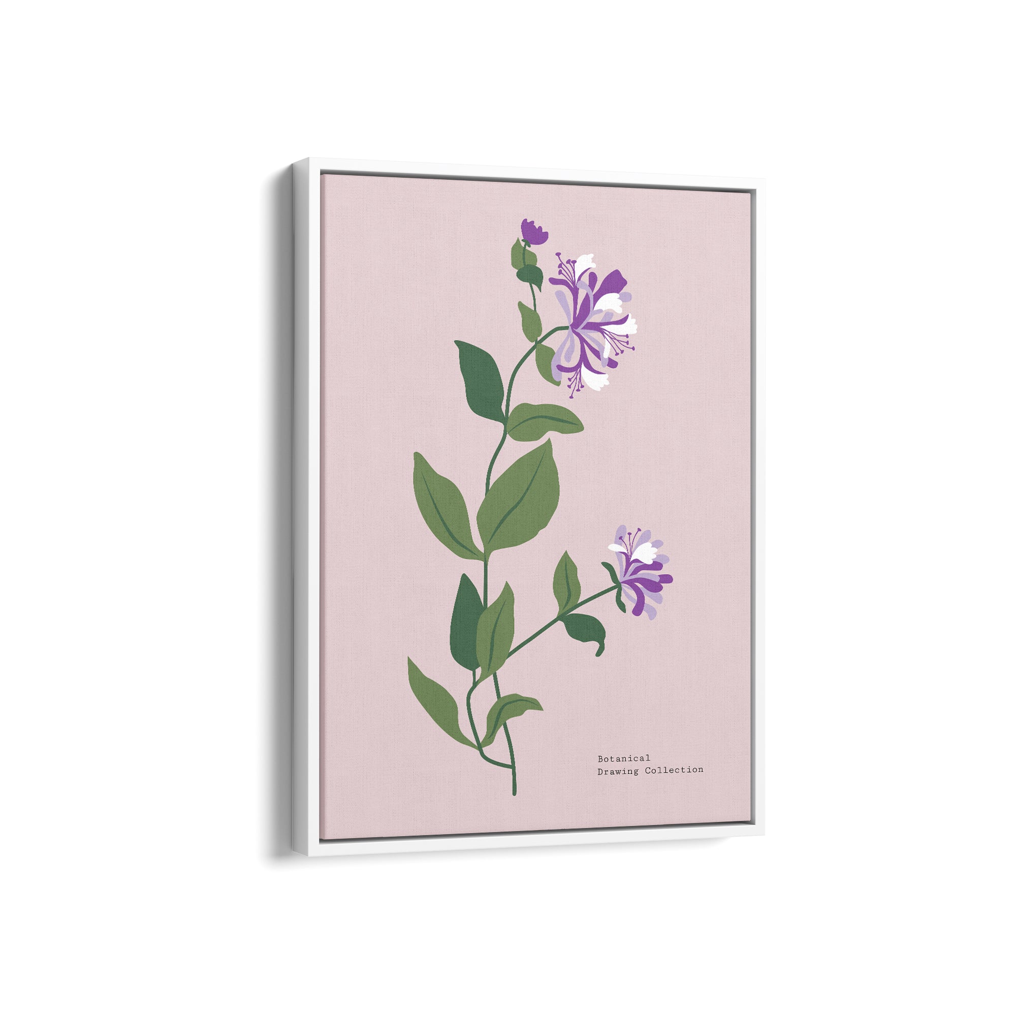 Garden of Colors Botanical Modern Wall Art