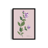 Garden of Colors Botanical Modern Wall Art