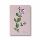 Garden of Colors Botanical Modern Wall Art