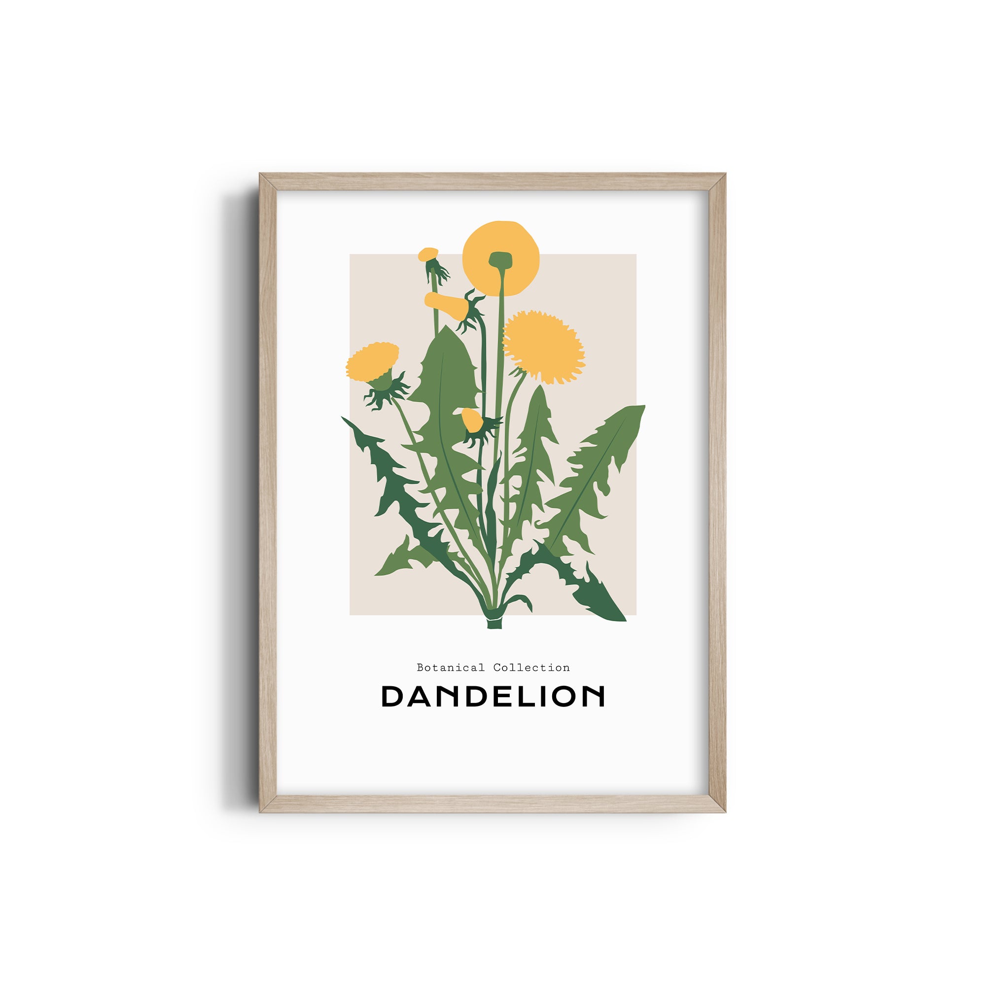 Dandelion Botanical Modern Wall Art
