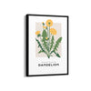 Dandelion Botanical Modern Wall Art