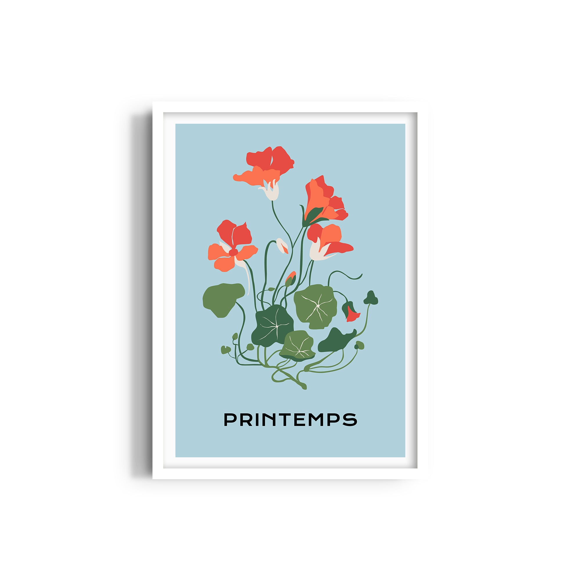 Floral Illuminations Botanical Modern Wall Art