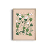 Petals & Pigments Botanical Modern Wall Art