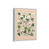 Petals & Pigments Botanical Modern Wall Art
