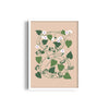 Petals & Pigments Botanical Modern Wall Art