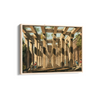 Ancient Cistern in Val di Noto from Views in the Ottoman Dominions Hunter Wall Art