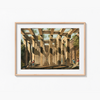 Ancient Cistern in Val di Noto from Views in the Ottoman Dominions Hunter Wall Art