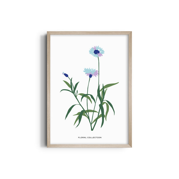 Garden of Creativity Botanical Modern Wall Art