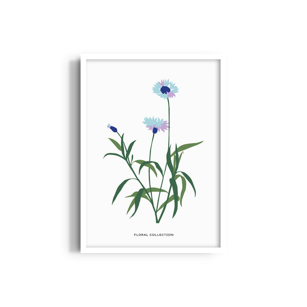 Garden of Creativity Botanical Modern Wall Art