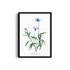 Garden of Creativity Botanical Modern Wall Art
