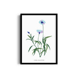 Garden of Creativity Botanical Modern Wall Art