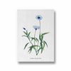 Garden of Creativity Botanical Modern Wall Art
