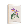 Botanical Visions Botanical Modern Wall Art