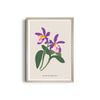 Botanical Visions Botanical Modern Wall Art
