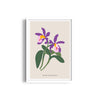Botanical Visions Botanical Modern Wall Art