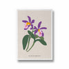 Botanical Visions Botanical Modern Wall Art