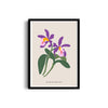 Botanical Visions Botanical Modern Wall Art