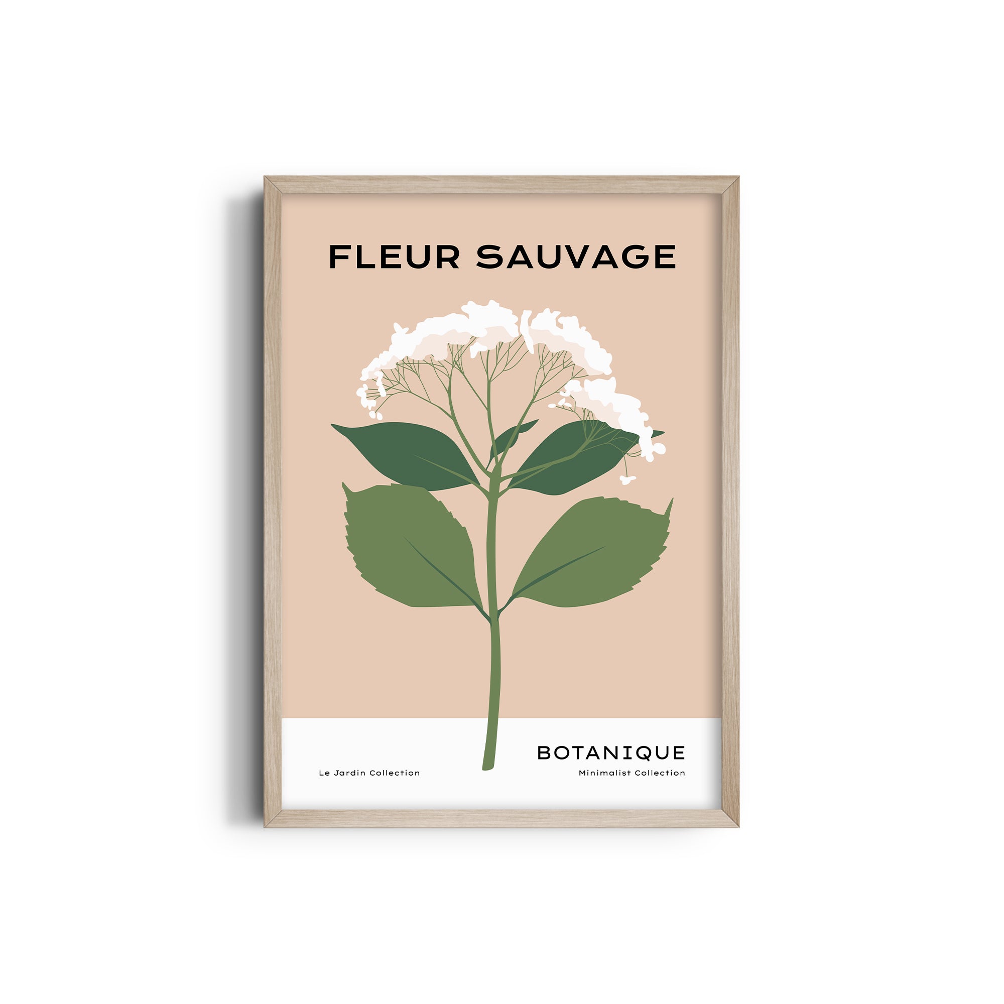 Fleur Sauvage Botanical Modern Wall Art