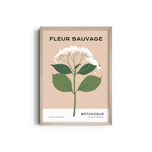 Fleur Sauvage Botanical Modern Wall Art
