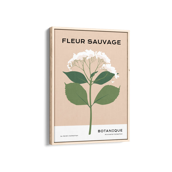 Fleur Sauvage Botanical Modern Wall Art