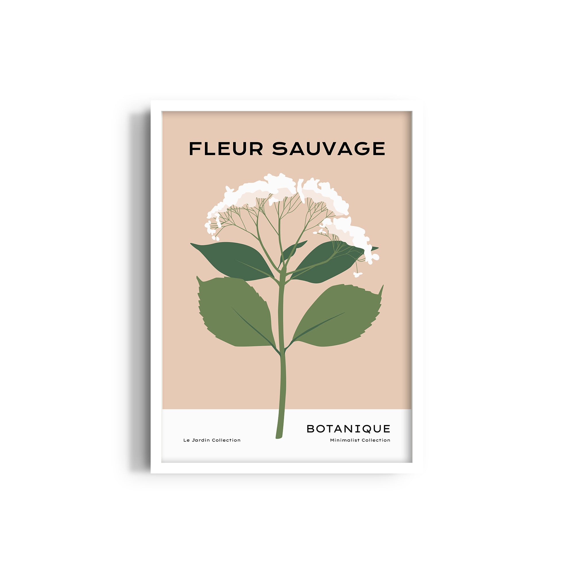 Fleur Sauvage Botanical Modern Wall Art
