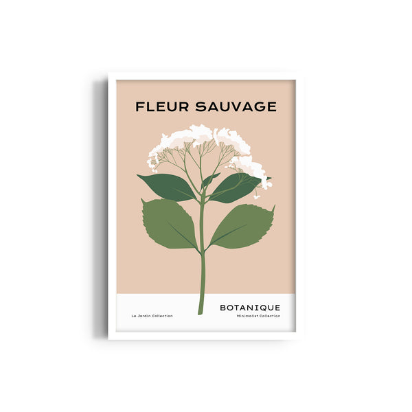 Fleur Sauvage Botanical Modern Wall Art