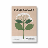 Fleur Sauvage Botanical Modern Wall Art