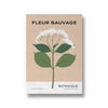 Fleur Sauvage Botanical Modern Wall Art