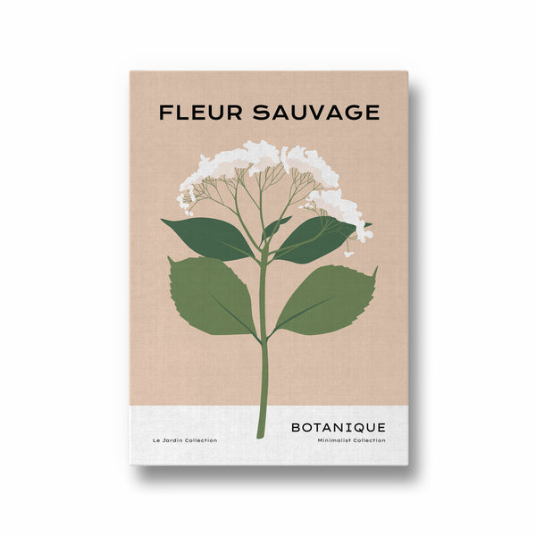 Fleur Sauvage Botanical Modern Wall Art