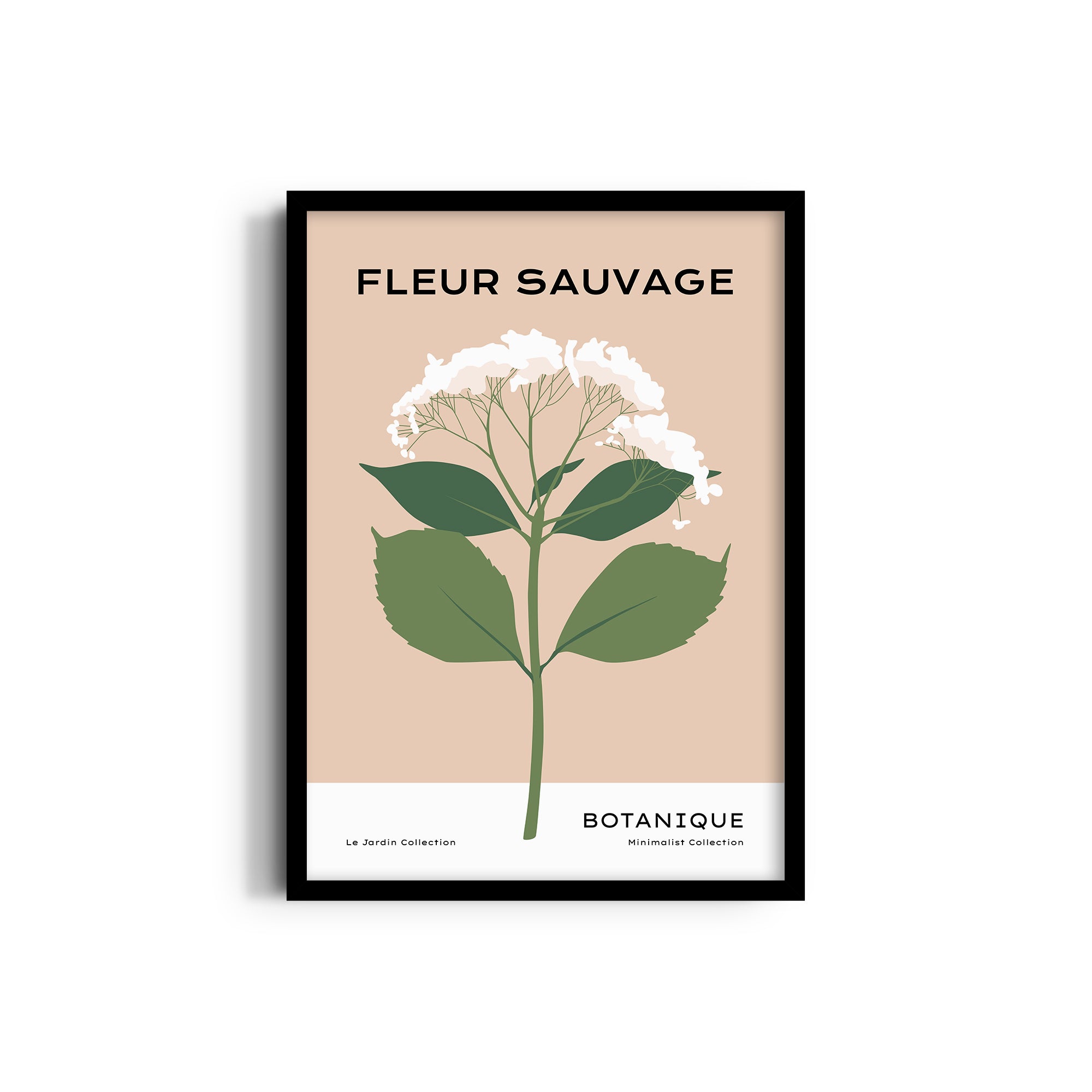 Fleur Sauvage Botanical Modern Wall Art
