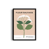 Fleur Sauvage Botanical Modern Wall Art