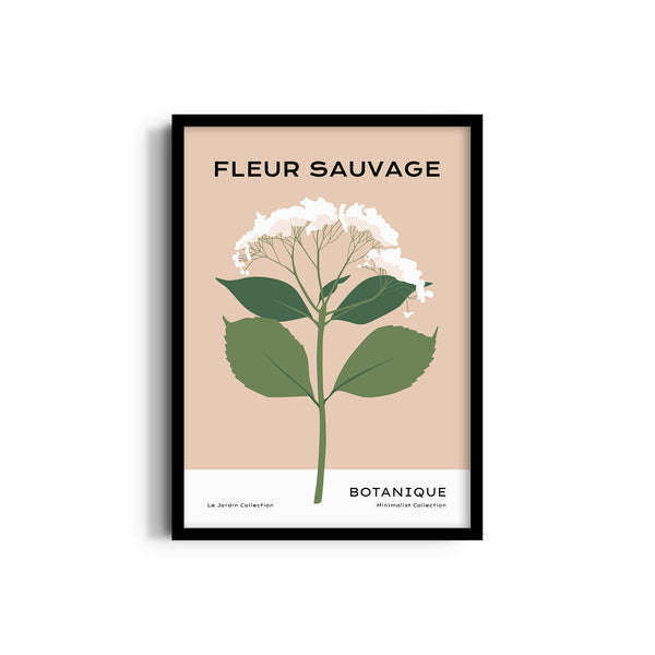 Fleur Sauvage Botanical Modern Wall Art