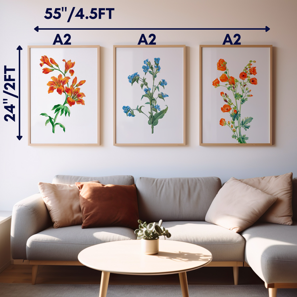 Set of 3 Botanical Wall Art