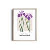 Floral Euphoria Botanical Modern Wall Art
