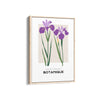 Floral Euphoria Botanical Modern Wall Art