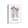 Floral Euphoria Botanical Modern Wall Art