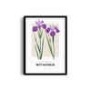 Floral Euphoria Botanical Modern Wall Art